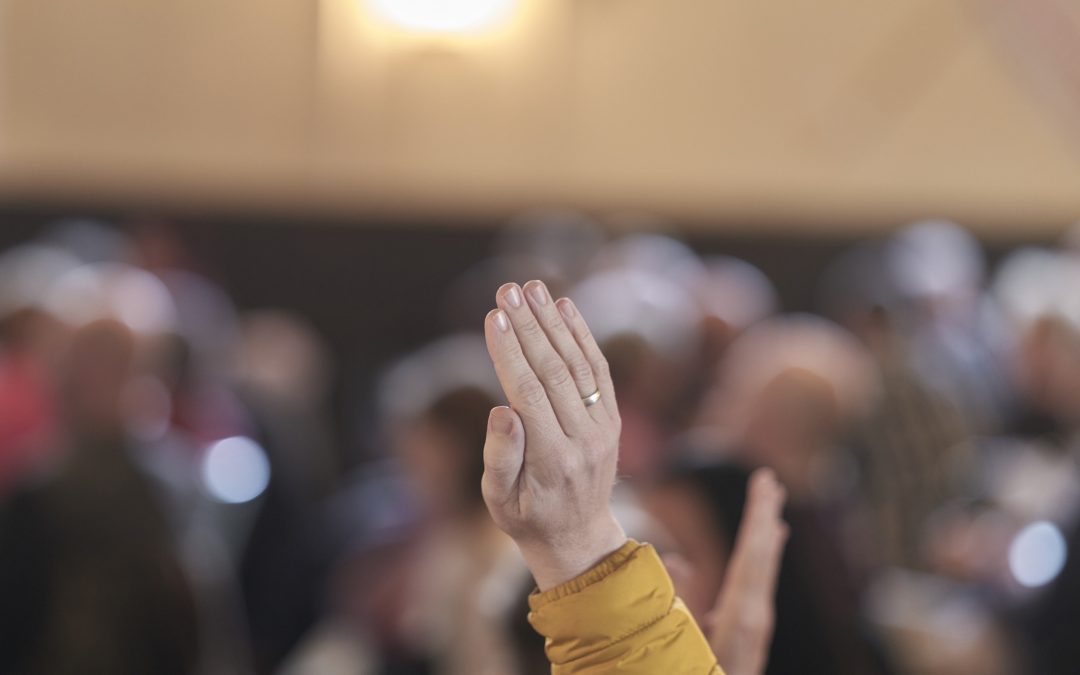 Kandidatur für den künftigen Landesvorstand