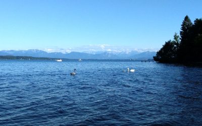 19. Feb. 2023 Walk & Talk in Feldafing