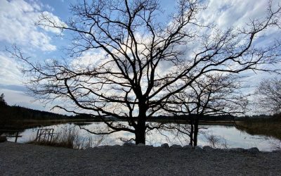 19. März 2023: Walk & Talk an Maisinger See: