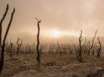 Narrativ-Klimakatastrophe